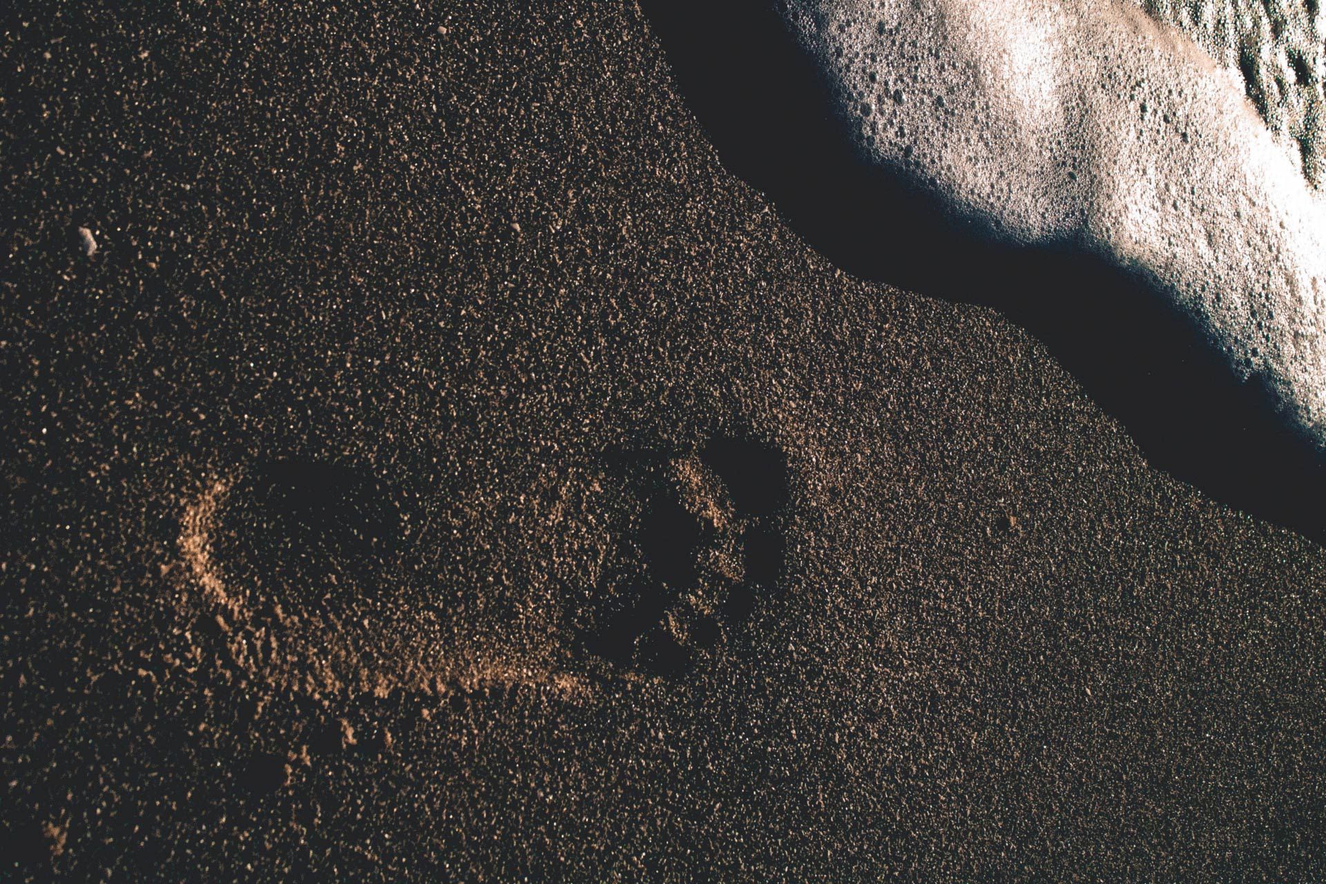 Beach at sunset