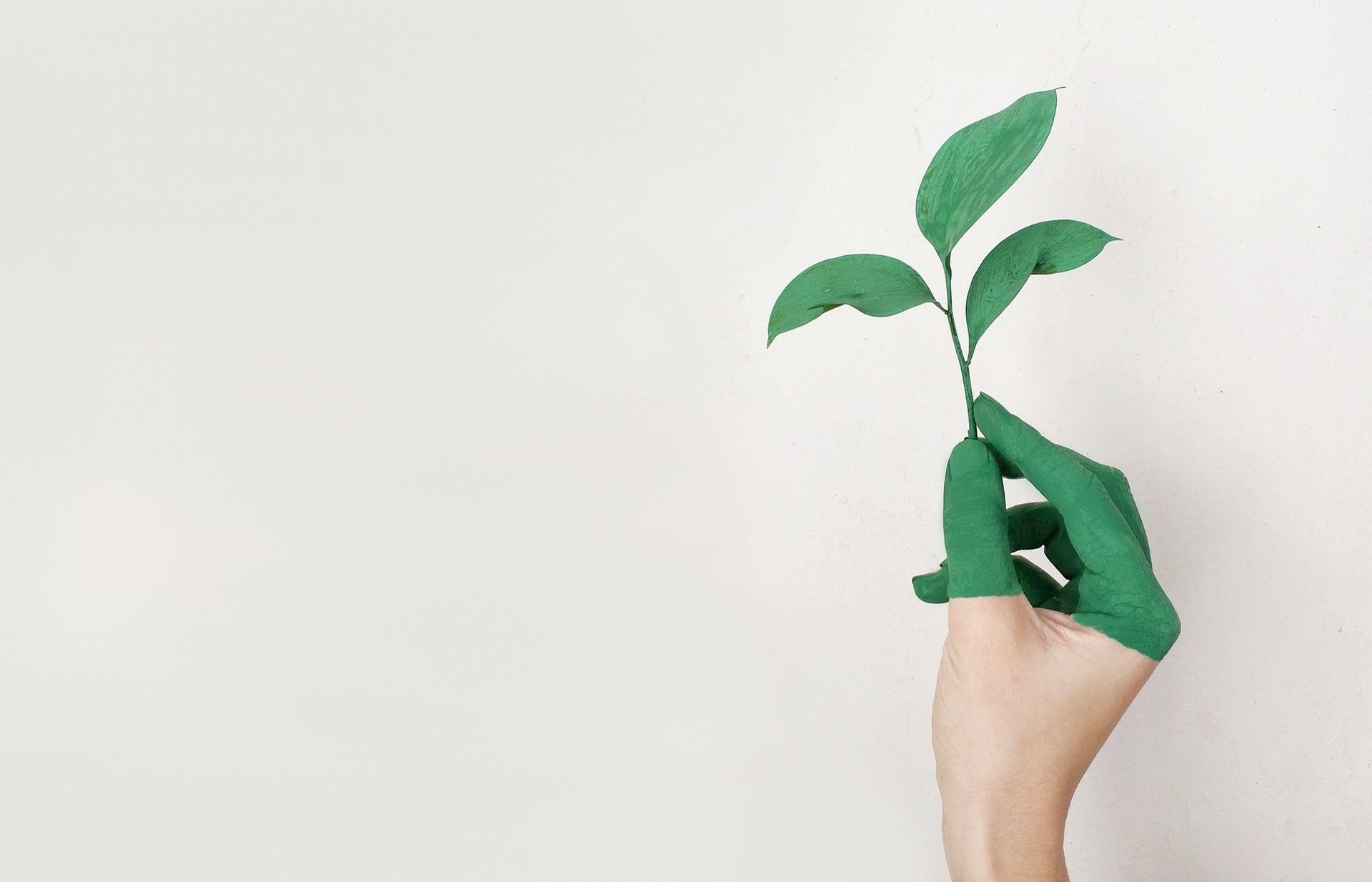 Green hand holding leaf