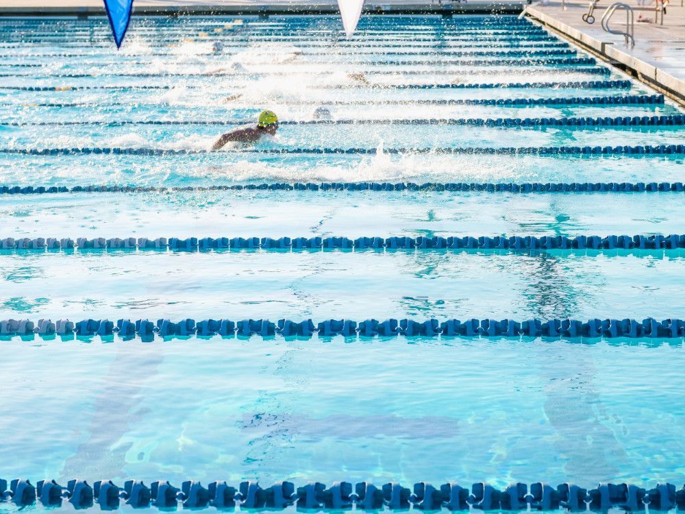 Side view of swimmers competing in an olympic swimming pool.