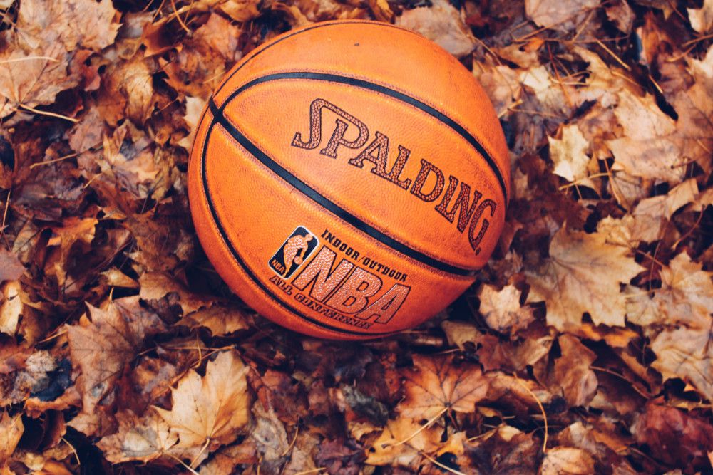 NBA basketball sitting in pile of autumn leaves.