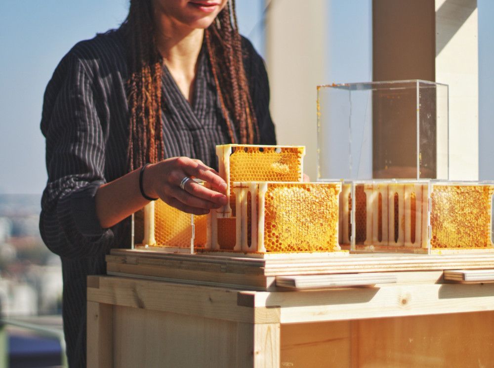 Lady in dark stripy top with long hair examining fresh honeycomb on table outside.