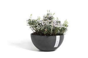 ECOPOTS Brussels low round flower pot Black