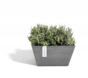 ECOPOTS Berlin low square planter Grey