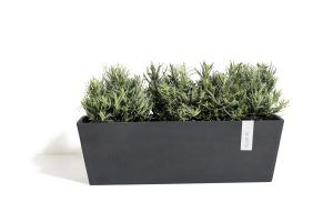 ECOPOTS Bruges rectangular planter Black