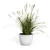 ECOPOTS Stockholm small flower and herb pot White