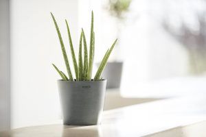 ecopots - amsterdam mini 2 - grey