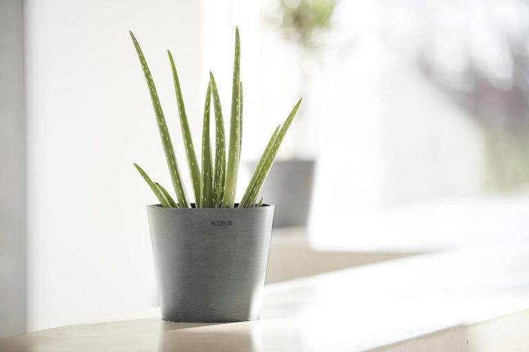 ECOPOTS Amsterdam, Fioriera Rotonda Moderna In Plastica