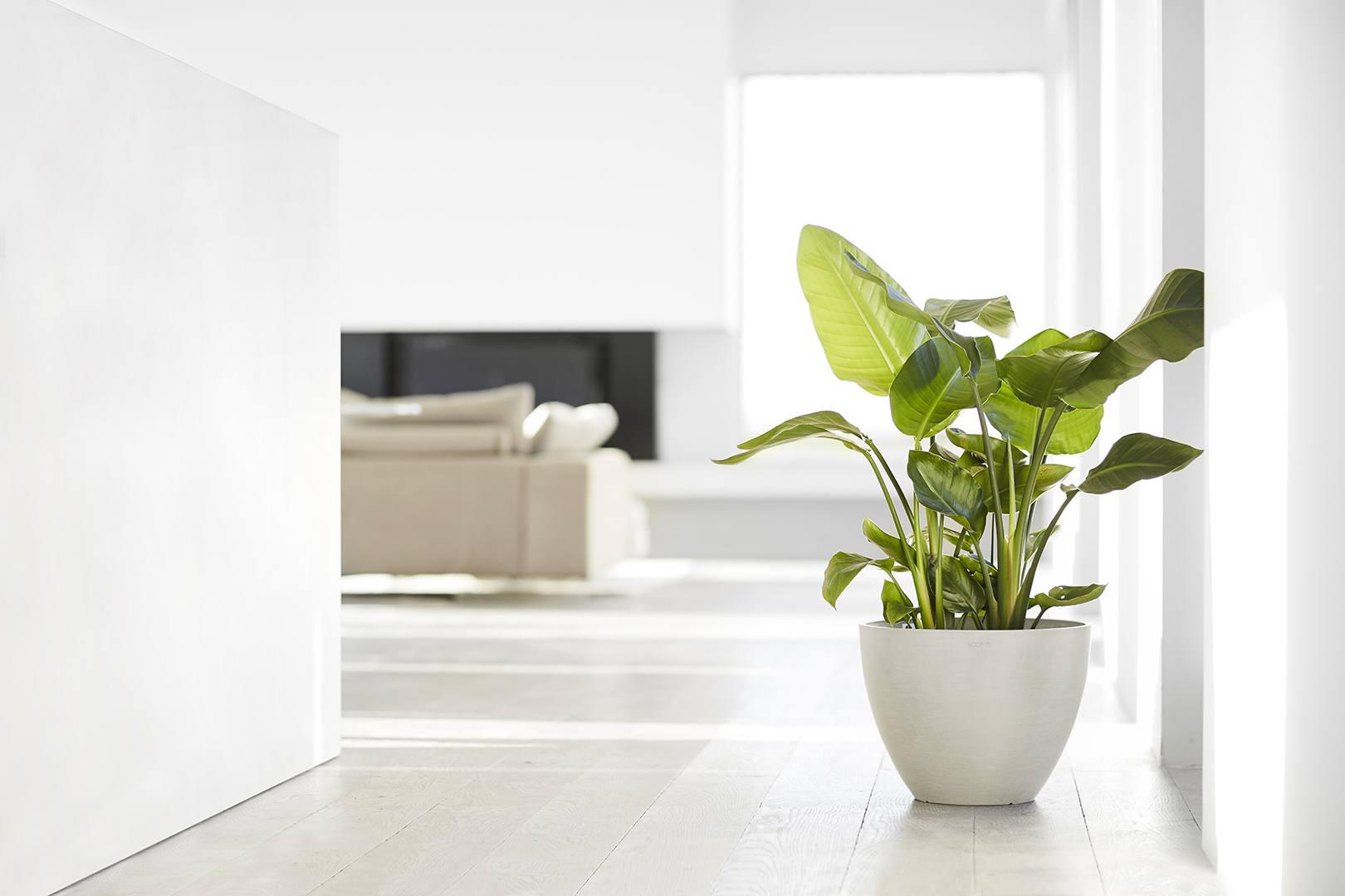 Ecopots Eco Plant Pots Indoor & Outdoor Plant Pots Circular&Co