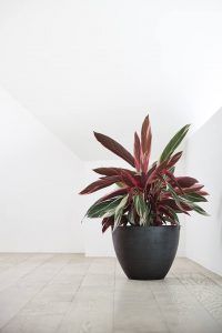 ecopots - antwerp 2 - dark grey