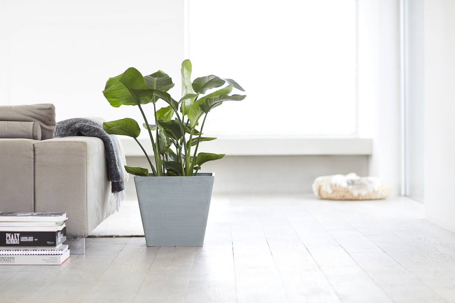 ECOPOTS Rotterdam - Circular&Co.