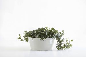 ECOPOTS Frankfurt White