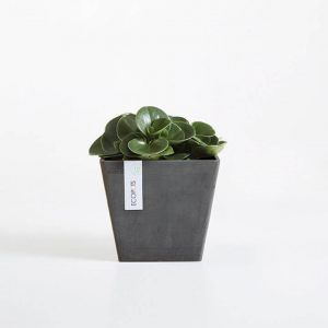 ECOPOT Sustainable Plant Pots