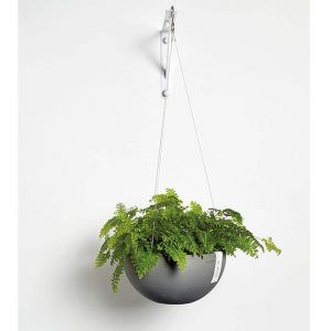 ECOPOT Sustainable Plant Pots