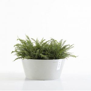 ECOPOT Sustainable Plant Pots