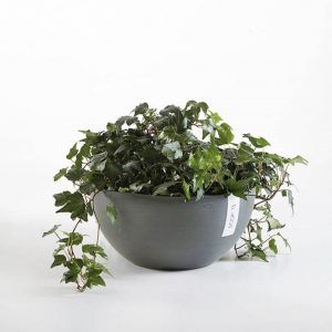 ECOPOT Sustainable Plant Pots