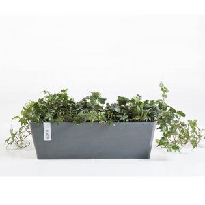 ECOPOT Sustainable Plant Pots