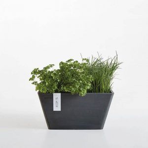 ECOPOT Sustainable Plant Pots