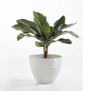 ECOPOT Sustainable Plant Pots