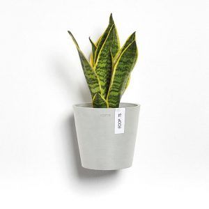 ECOPOT Sustainable Plant Pots