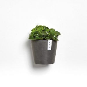 ECOPOT Sustainable Plant Pots