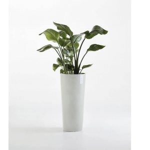 ECOPOT Sustainable Plant Pots