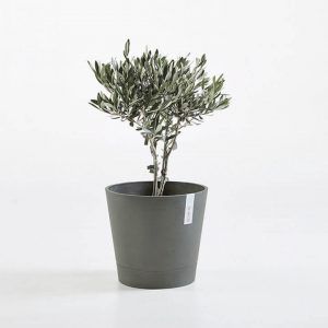 ECOPOT Sustainable Plant Pots