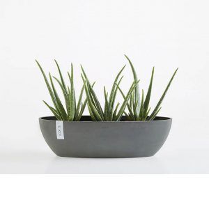 ECOPOT Sustainable Plant Pots