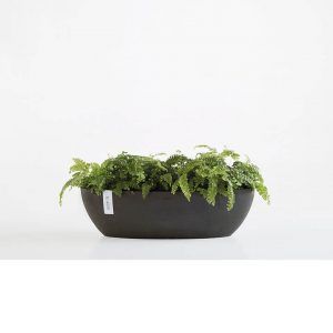 ECOPOT Sustainable Plant Pots