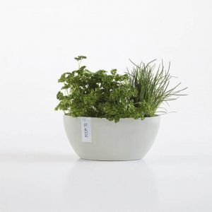 ECOPOT Sustainable Plant Pots