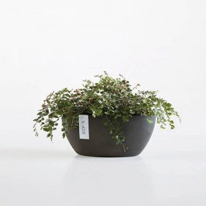 ECOPOT Sustainable Plant Pots