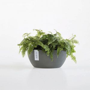 ECOPOT Sustainable Plant Pots