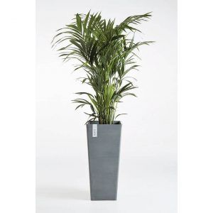 ECOPOT Sustainable Plant Pots