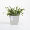 ECOPOT Sustainable Plant Pots