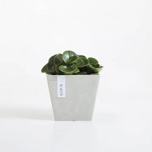 ECOPOT Sustainable Plant Pots