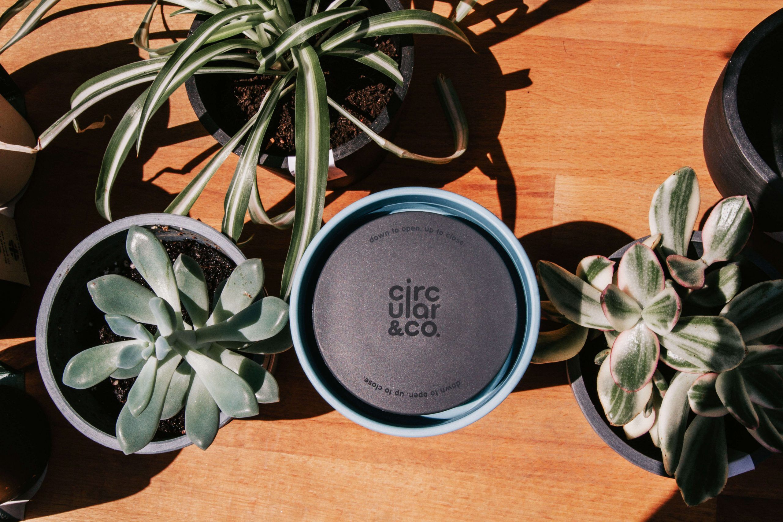 Circular Cup