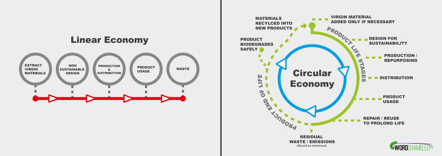 Graphic depicting the difference between the linear economy and the circular economy.