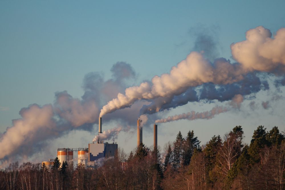 Factory chimneys situated behind a forest pumping out clouds of emissions.