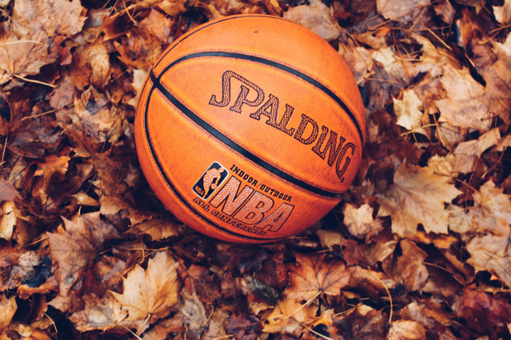 NBA basketball sitting in pile of autumn leaves.