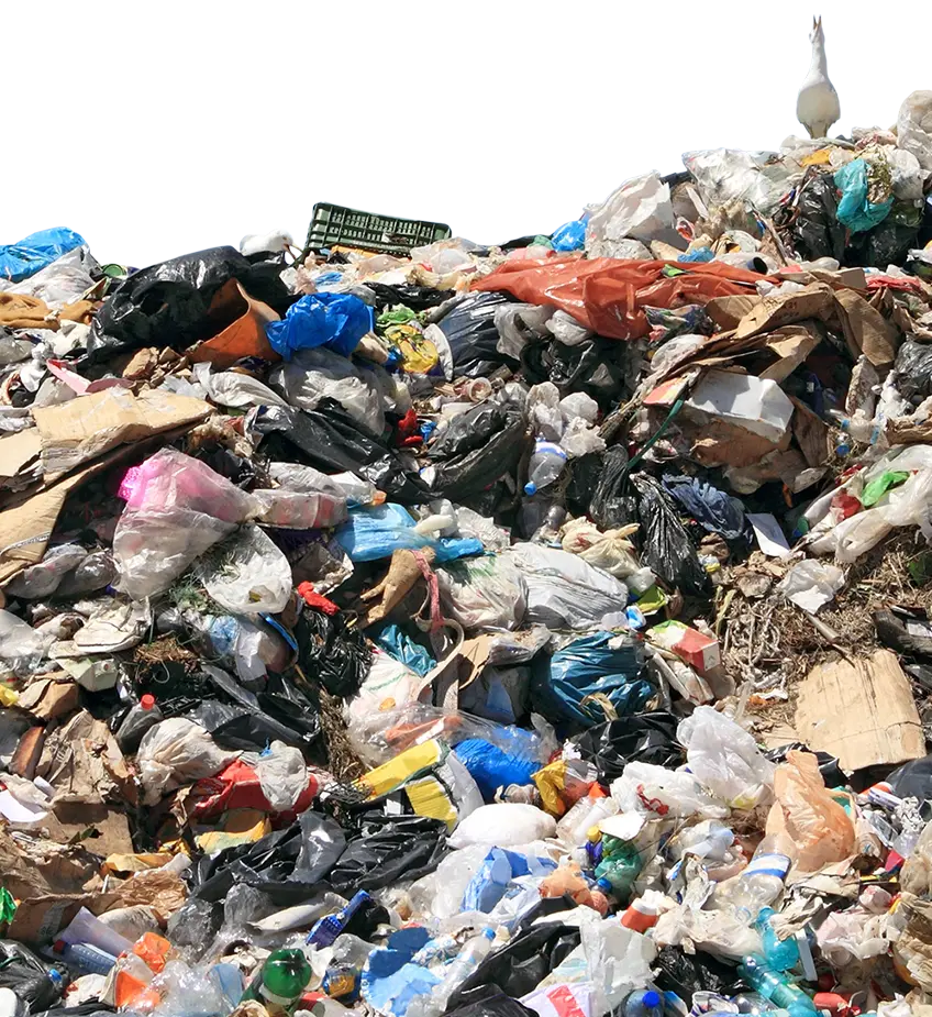 Mound of Waste